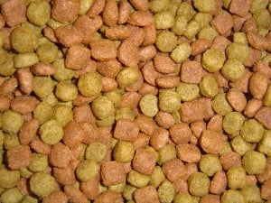 How Much Dry Dog Food For A Medium Sized Dog How Much Dry Dog Food For A Medium Sized Dog
