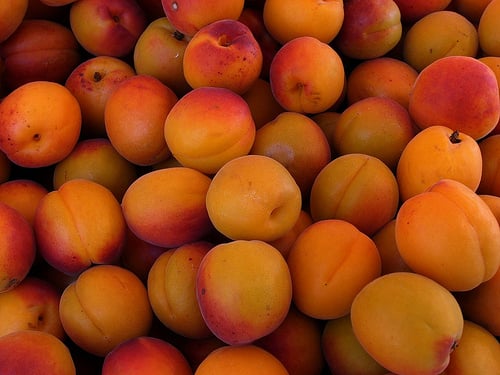 Apricots by kudumomo, on Flickr
