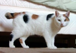 c8