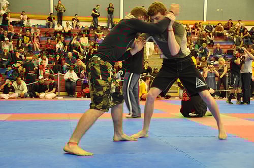 FloGrappling Cost