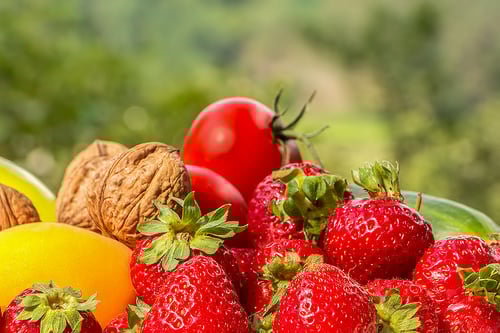 Lindora Diet Plan Cost